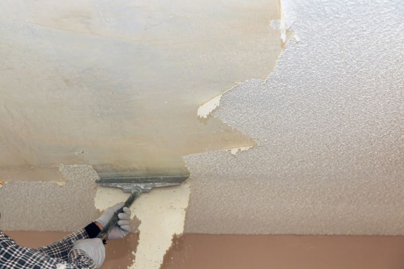 Contact About Textured Ceiling Repair And Removal